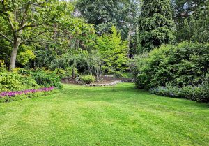 Optimiser l'expérience du jardin à Flins-sur-Seine